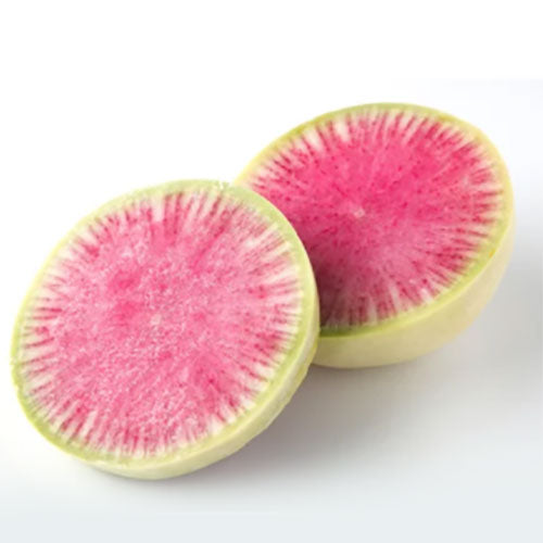 サバ好き!べったら漬け好き!の方に食べて頂きたい! サバと紅芯大根の糀漬 90g 【冷凍】【送料別】