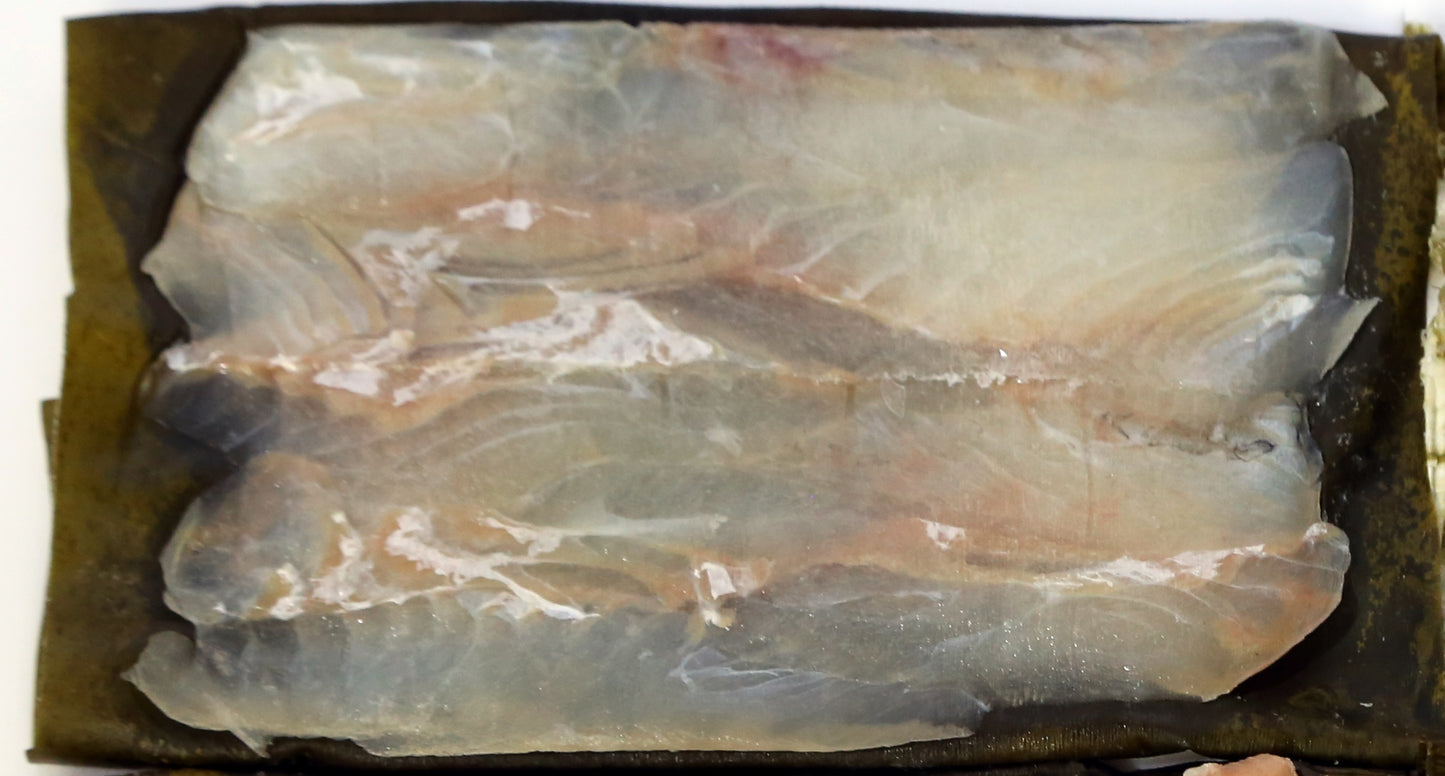 富山の郷土料理 昆布〆！ ひらめ１００ｇ【冷凍】【送料別】